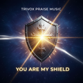 YOU ARE MY SHIELD